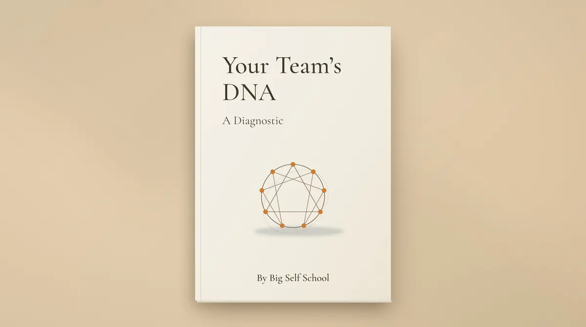Team Enneagram cover