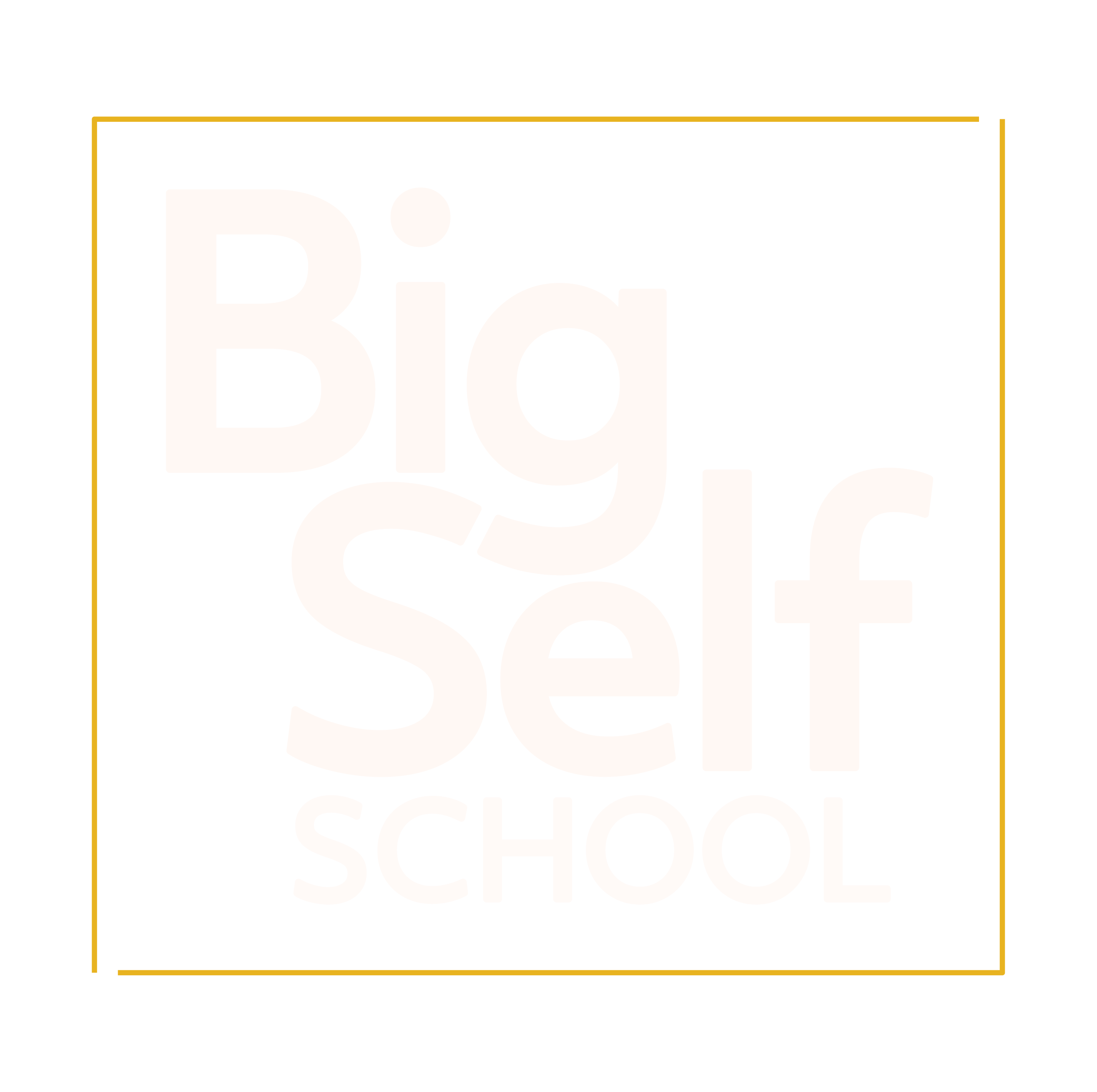 Big Self School
